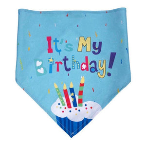 Pet It's My Birthday Bib