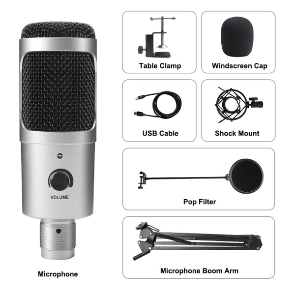USB Microphone Condenser D80